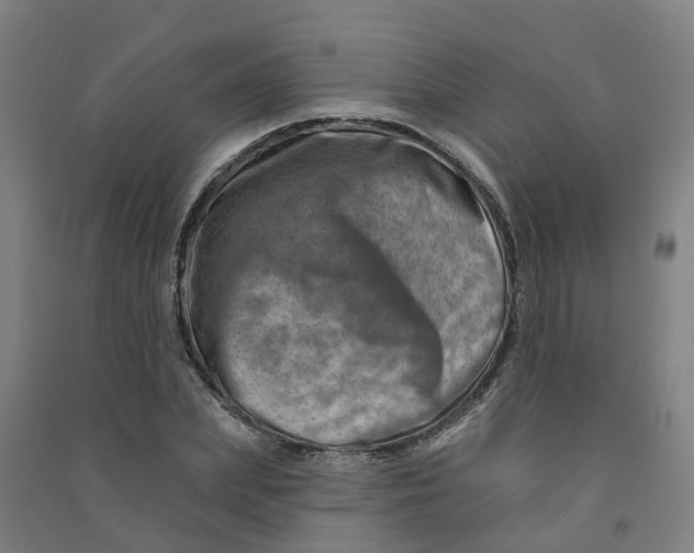 X0000090930831200708201826