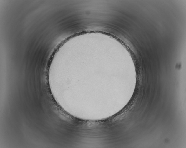 X0000090930832200708201826