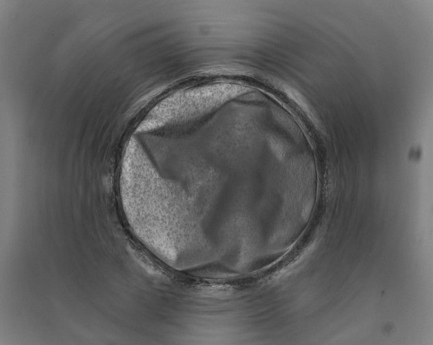 X0000090930833200708201826