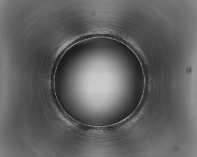 X0000090930834200708201826