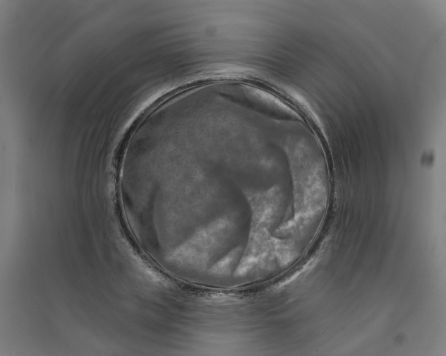 X0000090930835200708201826