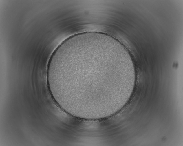 X0000090930836200708201826