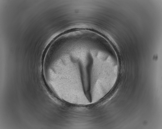 X0000090930837200708201826