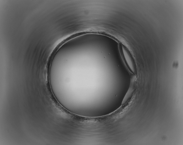 X0000090930838200708201826