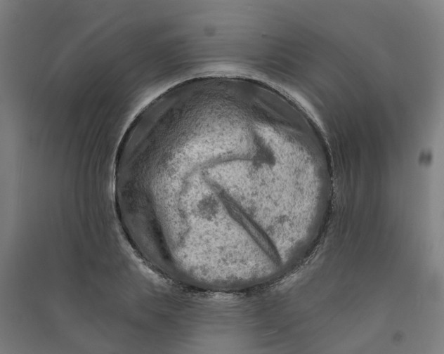 X0000090930839200708201826