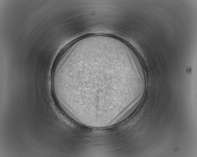 X0000090930840200708201826