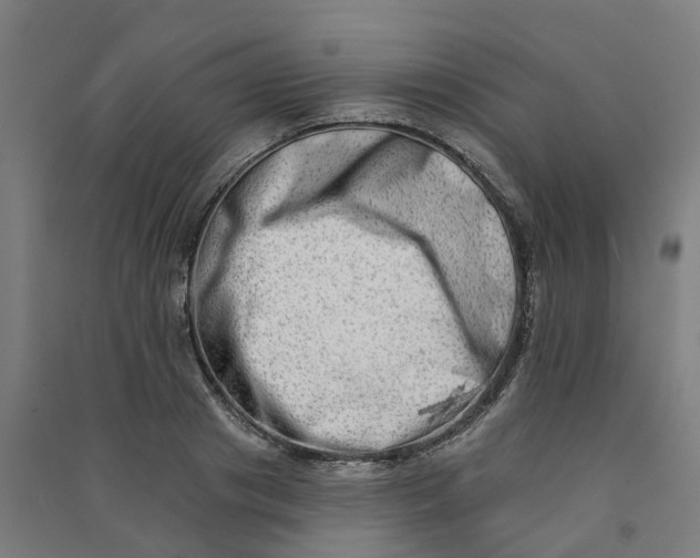 X0000090930841200708201826