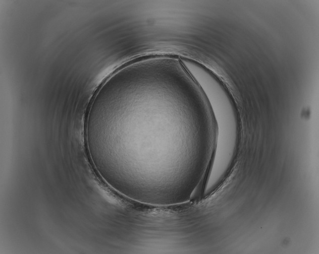 X0000090930842200708201826