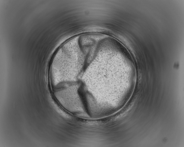 X0000090930843200708201826