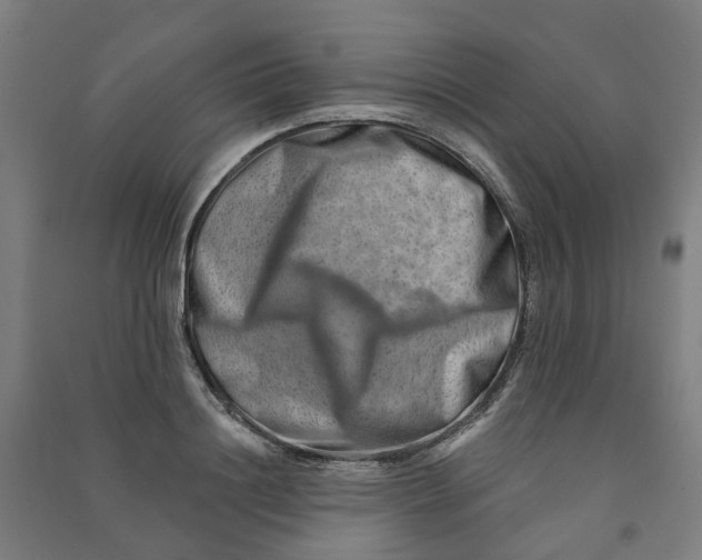 X0000090930844200708201826