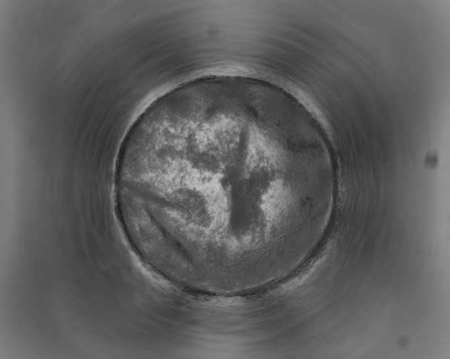 X0000090930845200708201826