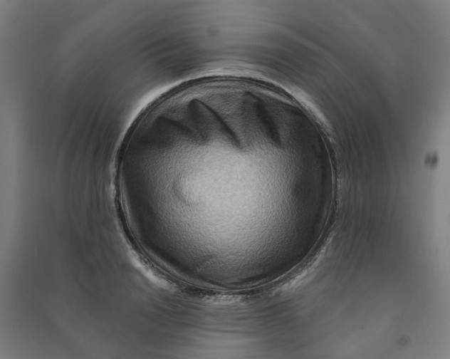 X0000090930846200708201826