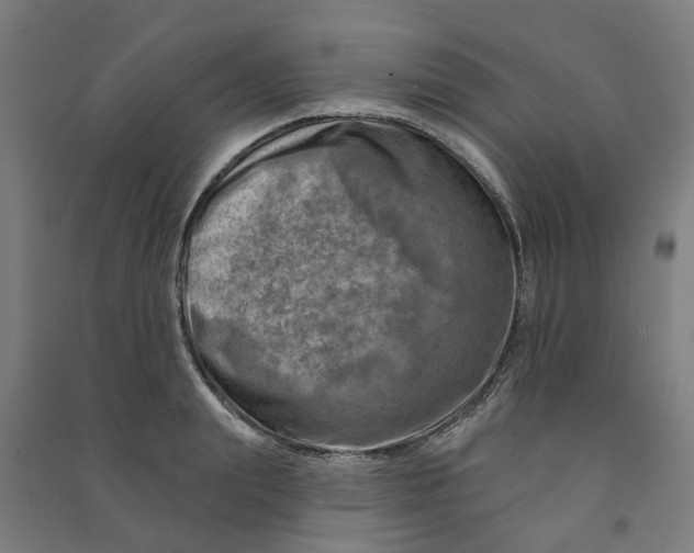 X0000090930847200708201826