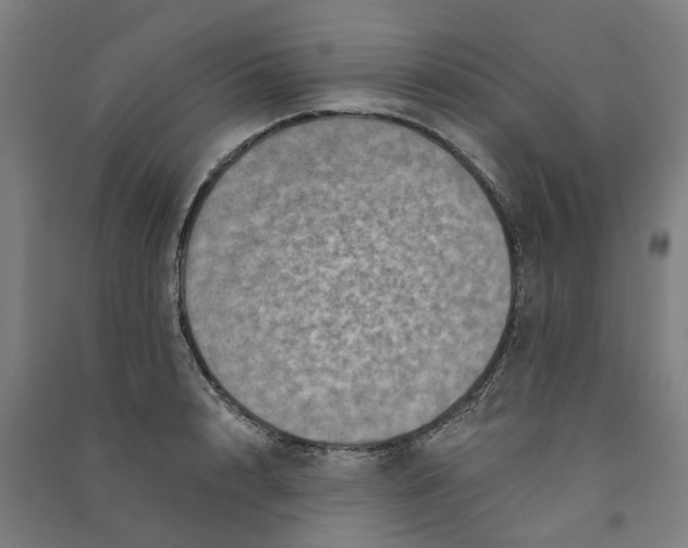 X0000090930848200708201826