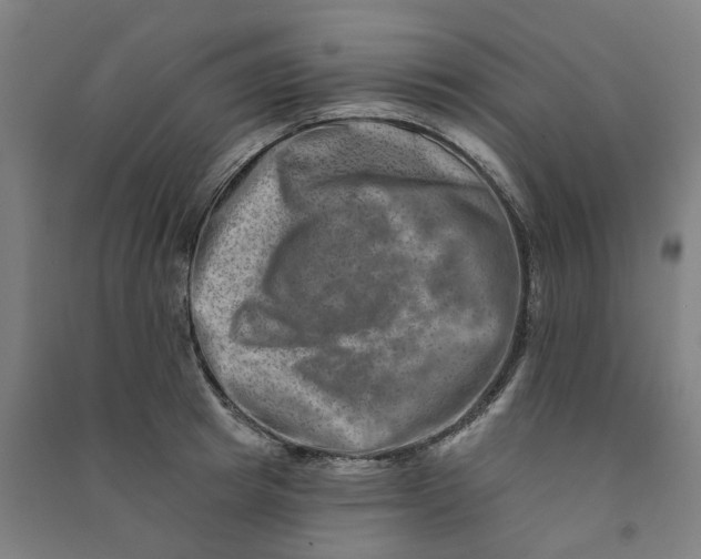 X0000090930849200708201826