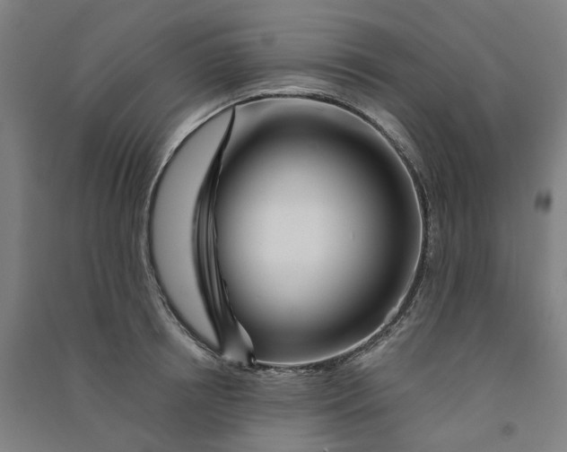 X0000090930850200708201826