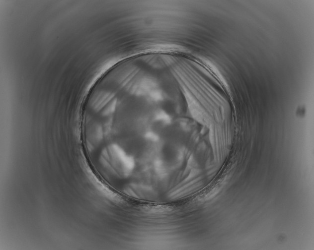 X0000090930851200708201826