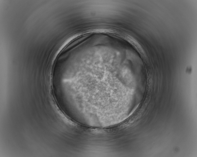 X0000090930852200708201826