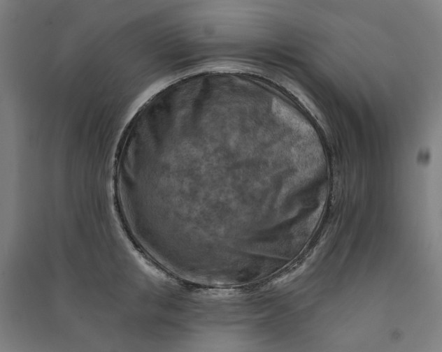 X0000090930853200708201826