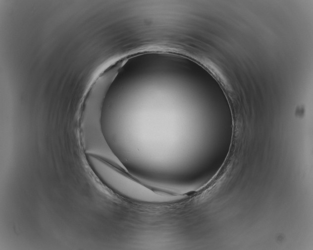 X0000090930854200708201826