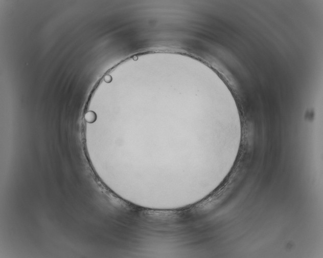 X0000090930856200708201826