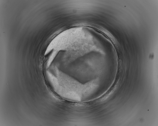 X0000090930857200708201826