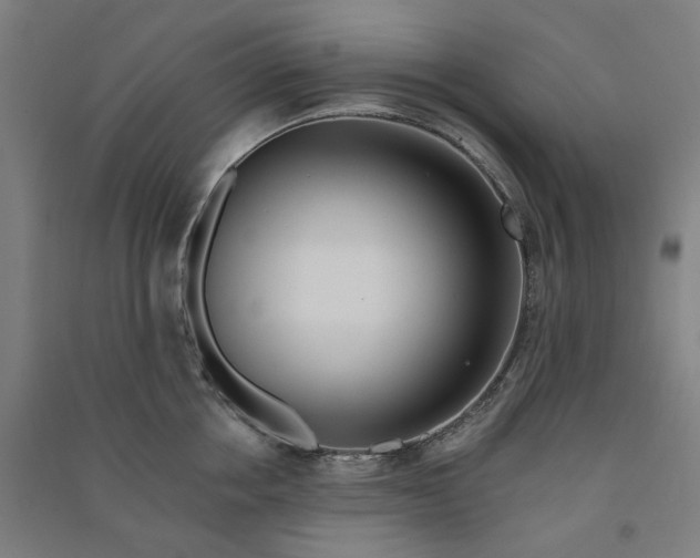 X0000090930858200708201826