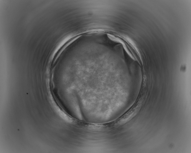 X0000090930859200708201826