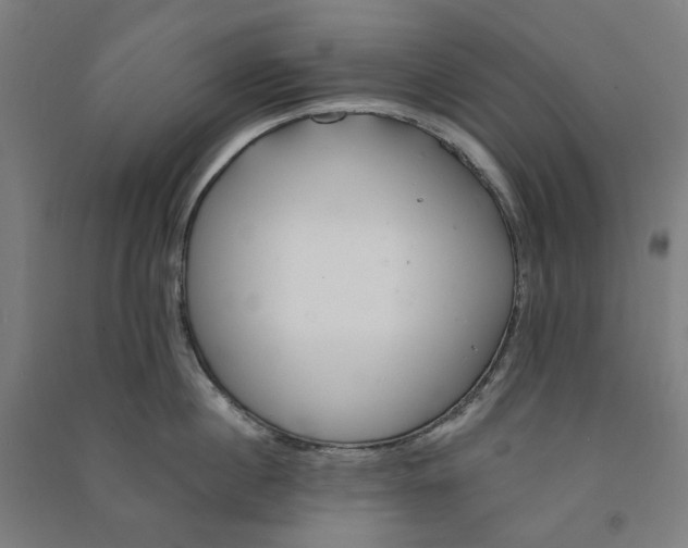 X0000090930860200708201826