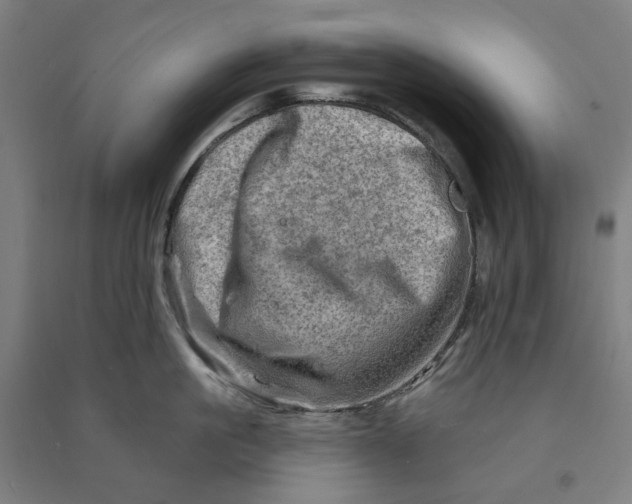 X0000090930861200708201826