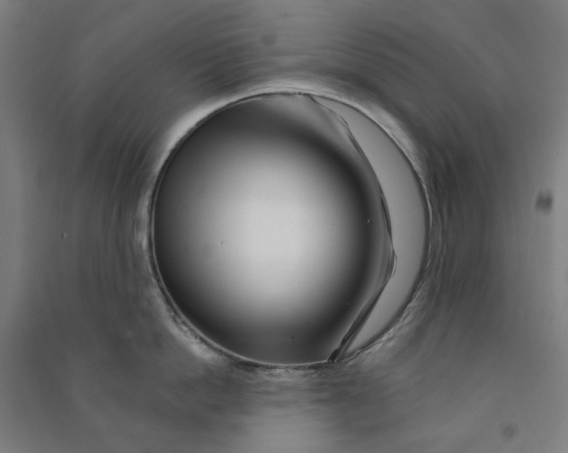 X0000090930862200708201826