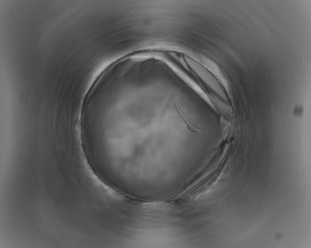 X0000090930863200708201826