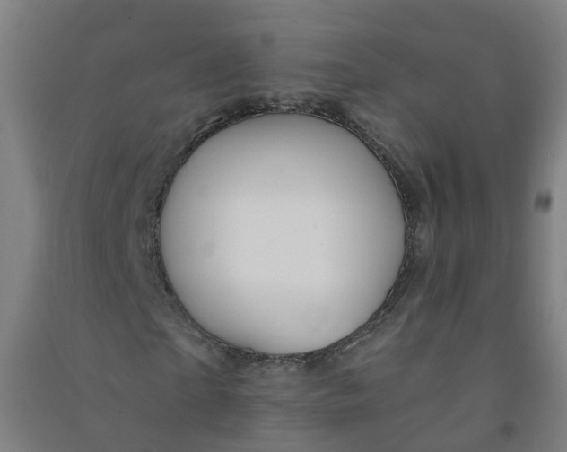 X0000090930865200708201826