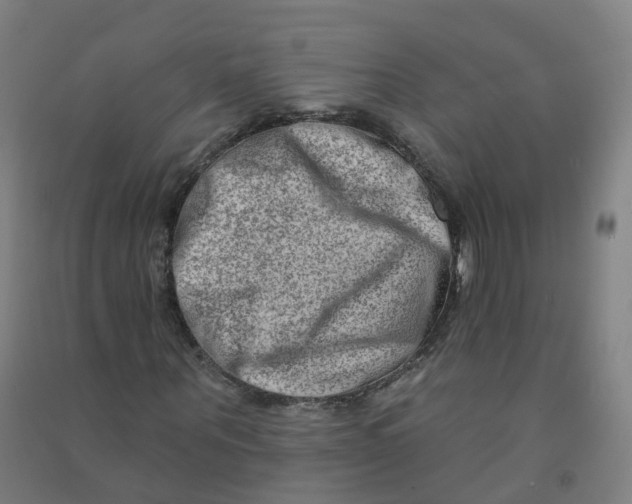 X0000090930867200708201826