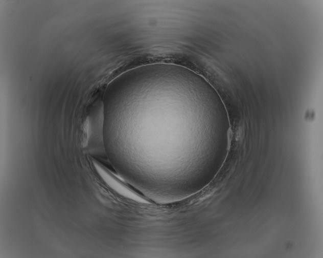 X0000090930868200708201826