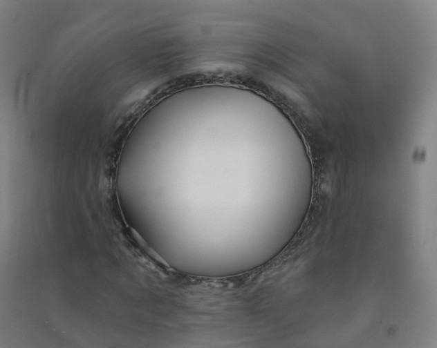 X0000090930869200708201826