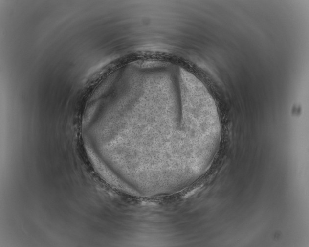 X0000090930870200708201826