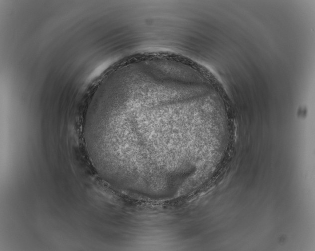 X0000090930871200708201826