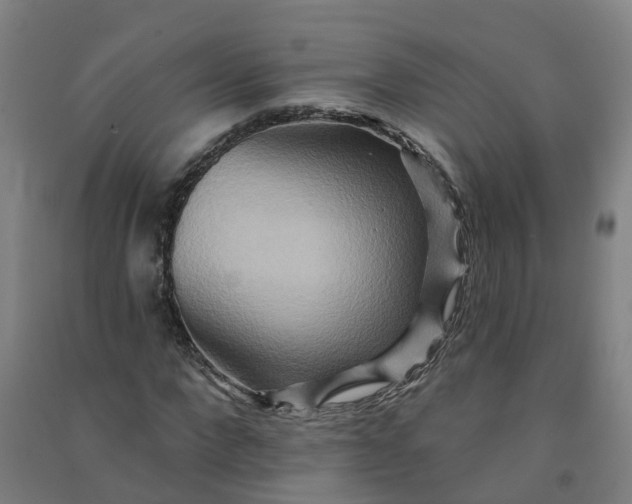 X0000090930872200708201826