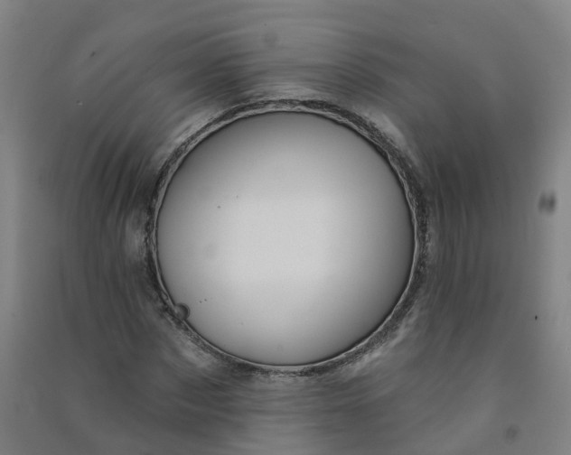 X0000090930873200708201826