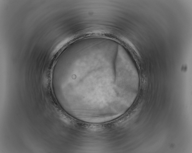 X0000090930874200708201826