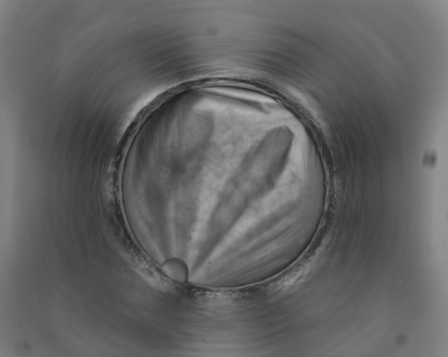 X0000090930875200708201826