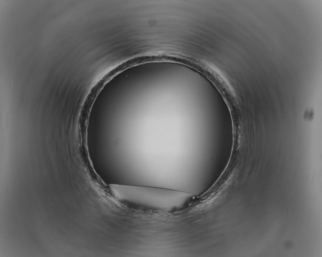 X0000090930876200708201826