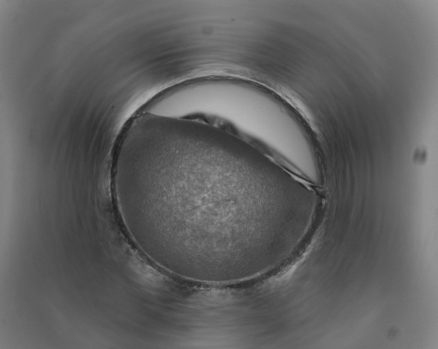 X0000090930877200708201826