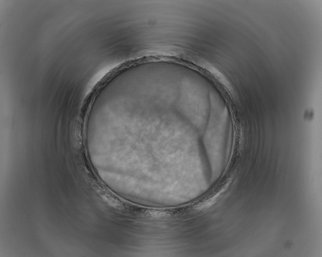 X0000090930878200708201826