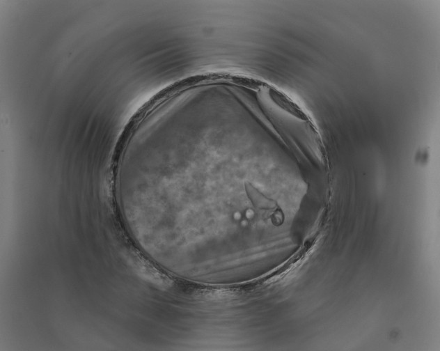 X0000090930879200708201826