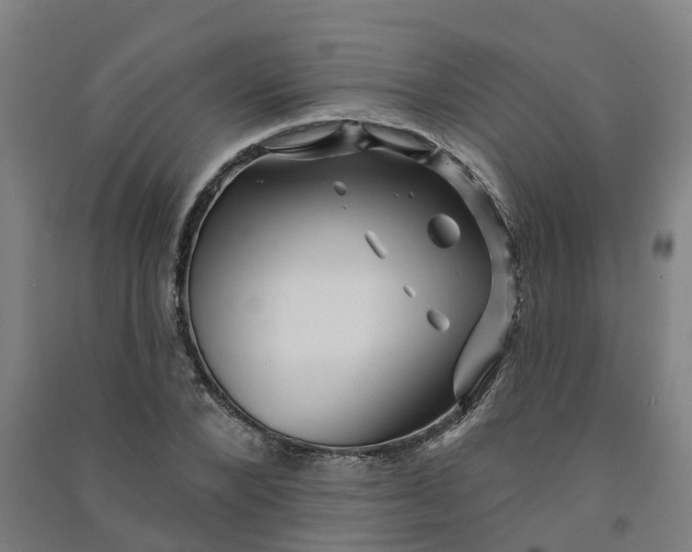 X0000090930880200708201825