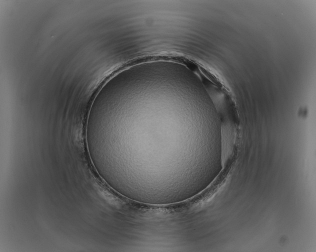 X0000090930881200708201825