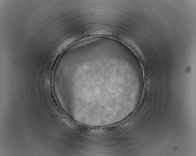 X0000090930882200708201825