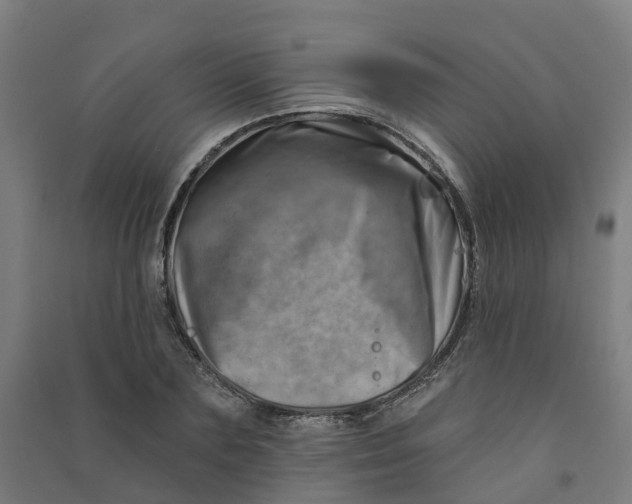 X0000090930883200708201825